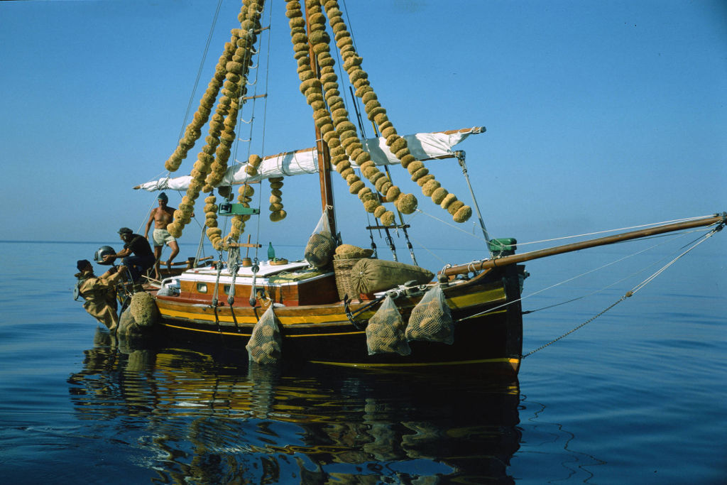 spugnificio-rosenfeld