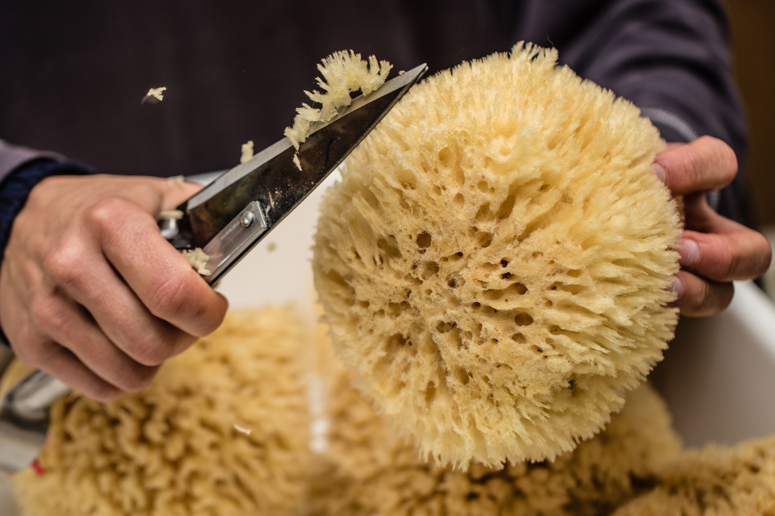 spugnificio-rosenfeld-lavorazione